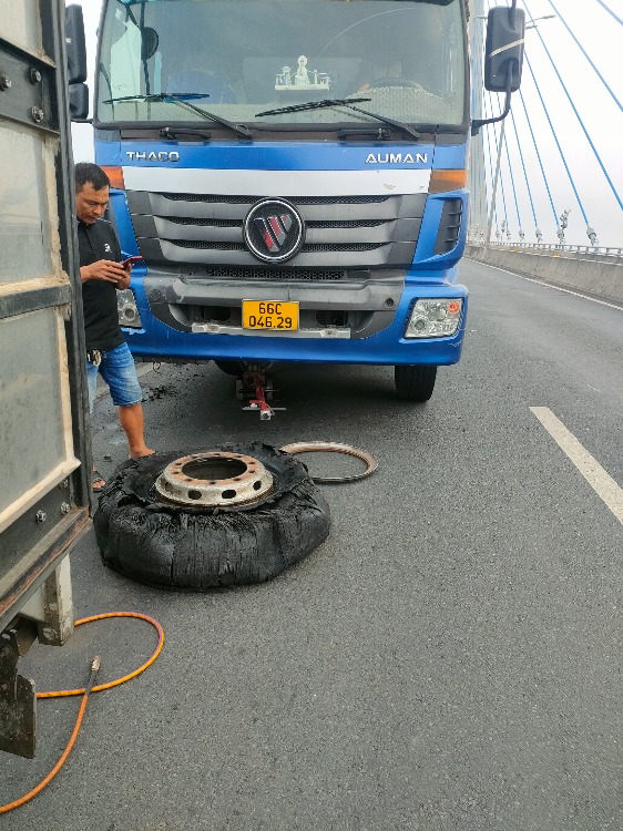 Vá võ lưu đông trân hữu